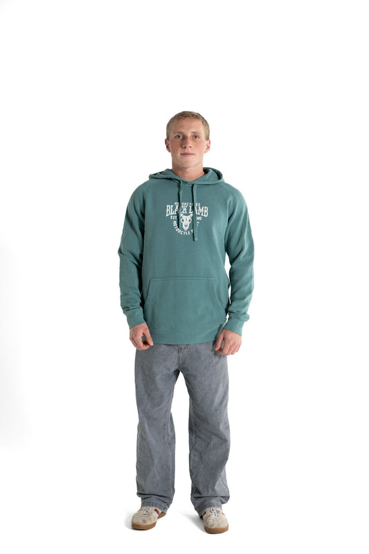 Custom Choppers  Faded Hood Teal